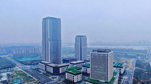 揚州生態科技新城三項目入選省重點清單，以軟件驅動“兩業融合”新篇章